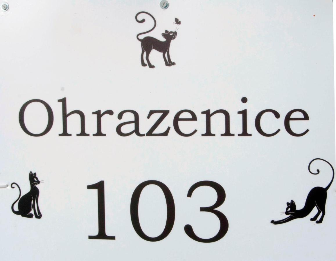 Ohrazenice 103 Turnov Esterno foto